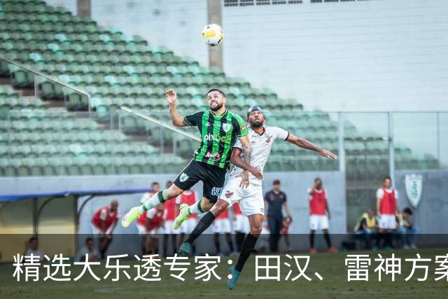 精选大乐透专家：田汉、雷神方案同中头奖1189万